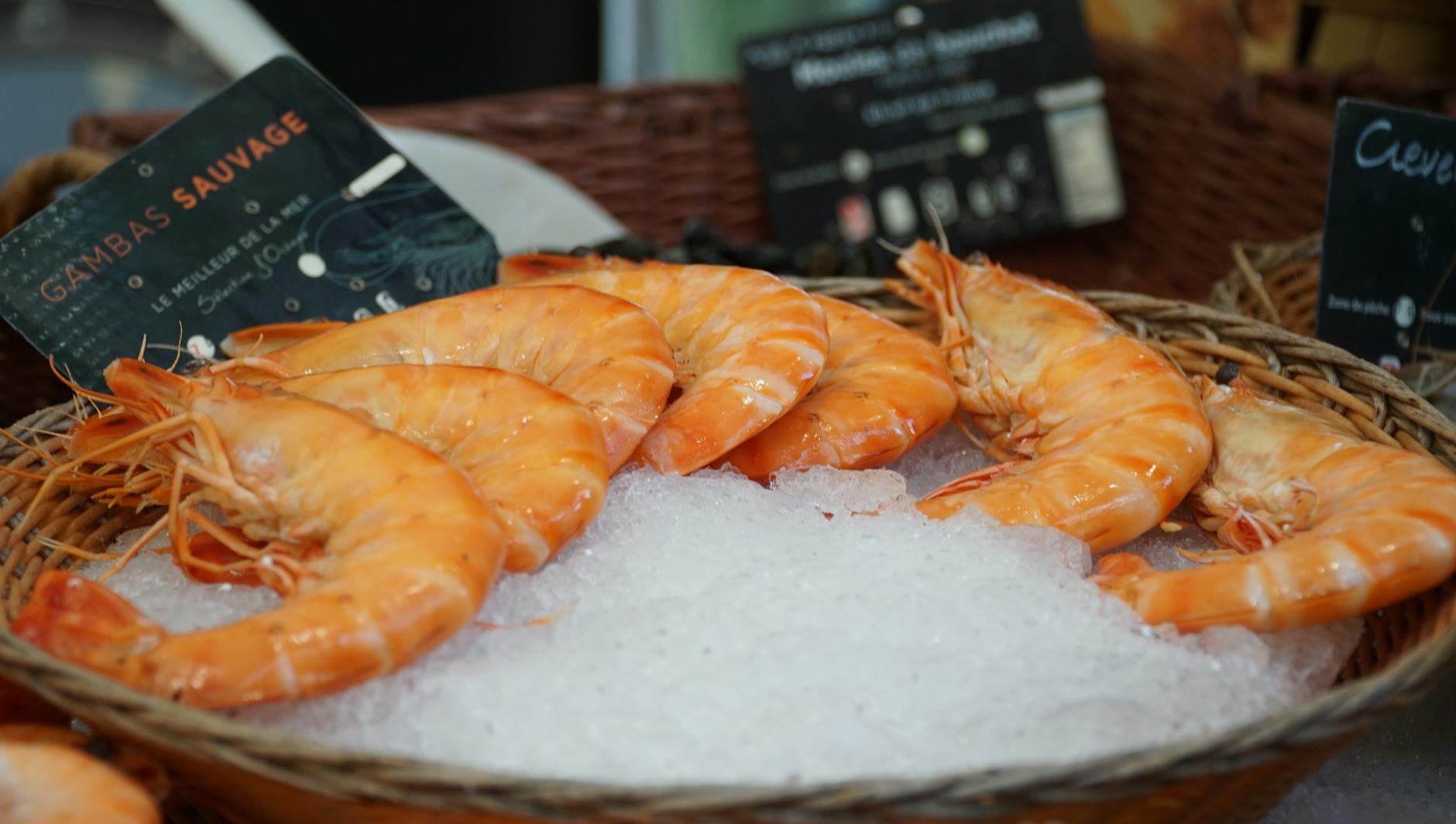 Fresh wild prawns displayed on ice in a market basket, ready for seafood lovers.