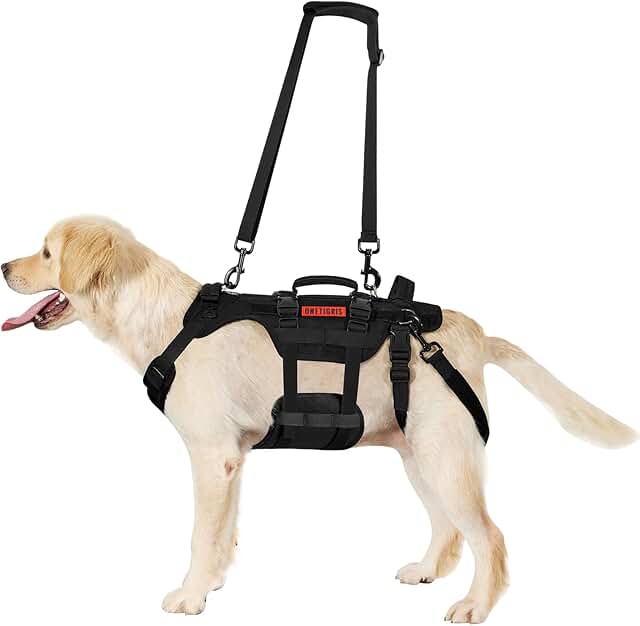 OneTigris Invictus Harnais de Levage Chien 3 Poignées L